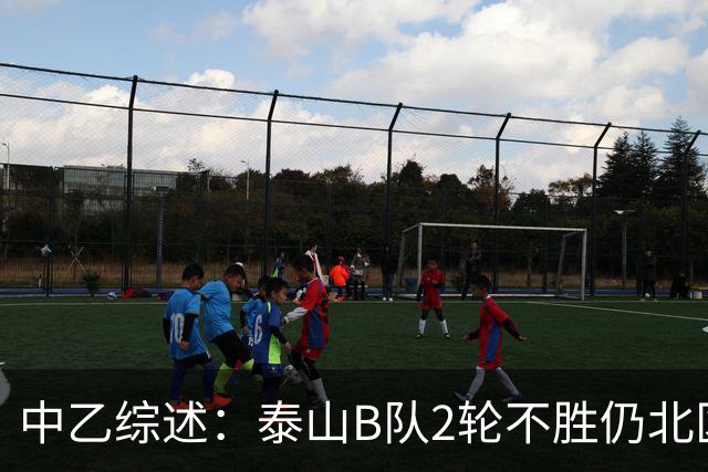 中乙综述：泰山B队2轮不胜仍北区第2，贵阳竞技告负蒲公英战平