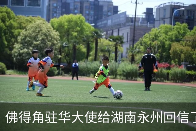 佛得角驻华大使给湖南永州回信了