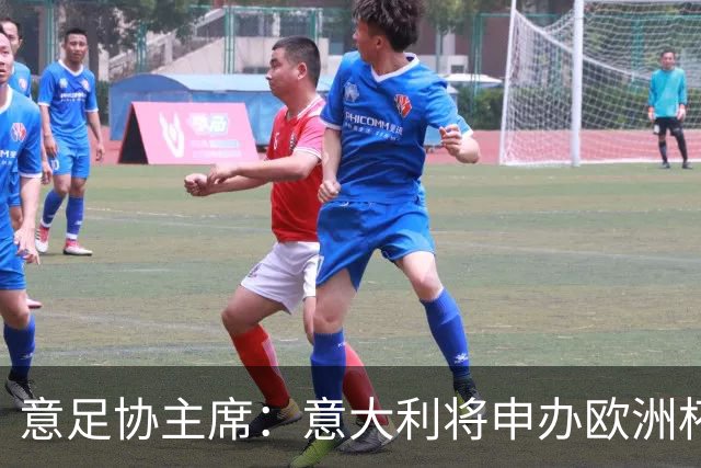 意足协主席：意大利将申办欧洲杯 支持曼帅召巴神