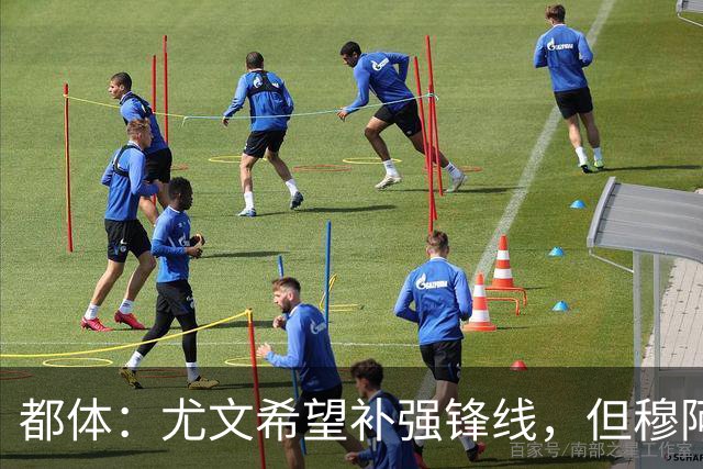都体：尤文希望补强锋线，但穆阿尼和佩莱格里诺只能二选一