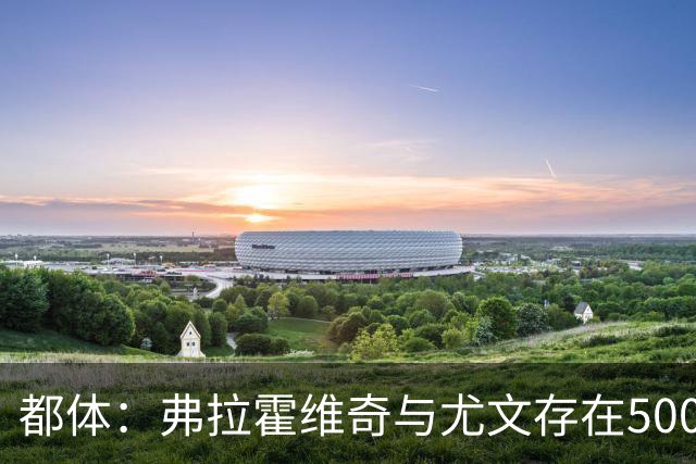 都体：弗拉霍维奇与尤文存在500万-600万欧分歧