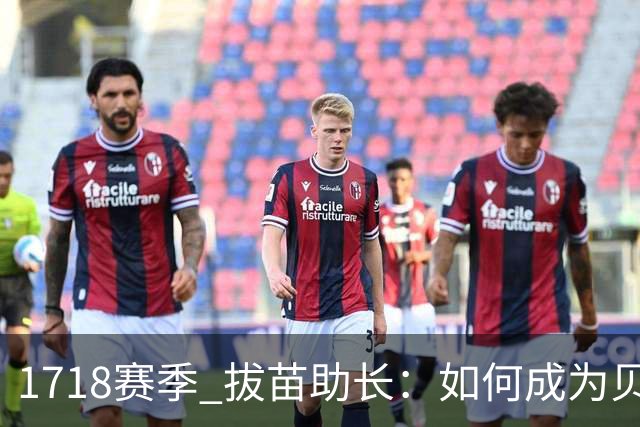 17/18赛季 拔苗助长：如何成为贝林厄姆的队友